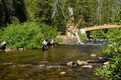 DSC_0212 (Large).JPG